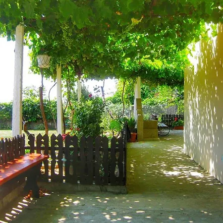 Dimi 4* Byala (Varna)