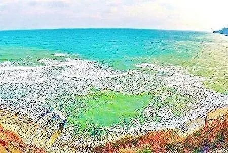 Pensión Dimi Byala (Varna)