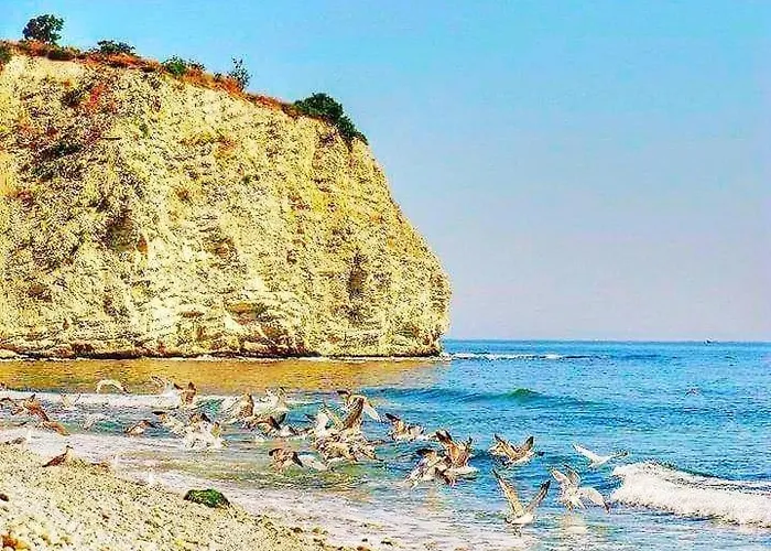 Dimi 4* Byala (Varna)